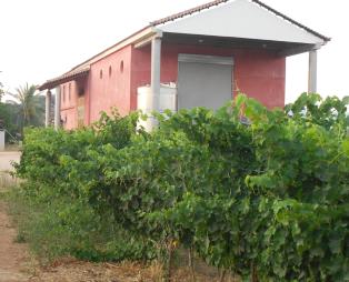 Koroniotis Winery