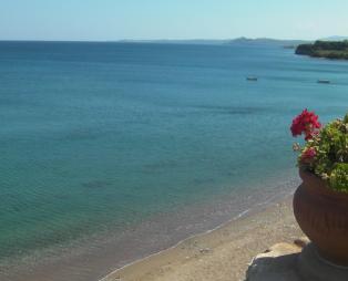 Francisco Beach Hotel