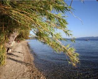 ΞΕΝΩΝΑΣ ΝΙΜΠΗ