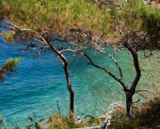 Ύδρα: Έρωτας με την πρώτη επίσκεψη