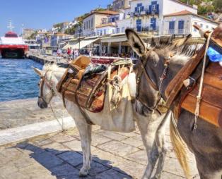 Ύδρα: Έρωτας με την πρώτη επίσκεψη