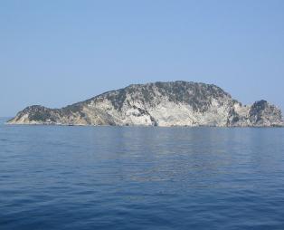 Εντυπωσιακά θαλάσσια πάρκα στην Ελλάδα