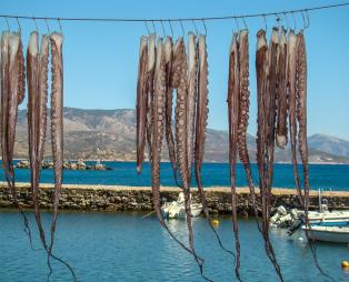 Χίος, το πιο «αρωματικό» νησί της Ελλάδας