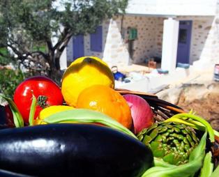 The Good Life Greece: Ζούμε την καλή ζωή στη Σύρο