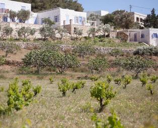 The Good Life Greece: Ζούμε την καλή ζωή στη Σύρο