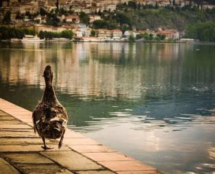 Καστοριά, η πόλη με τη γαλήνια αύρα!