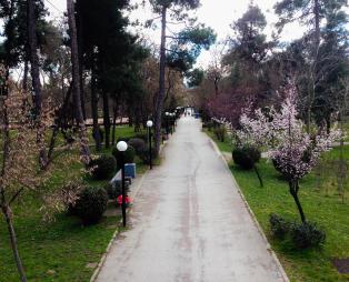 Καρδίτσα: Ατελείωτες βόλτες με ποδήλατο στην καρδιά της Θεσσαλίας