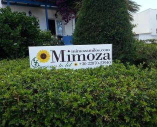 Mimoza