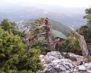 Η Πάρνηθα έχει πολλά περισσότερα που αξίζει να δείτε!