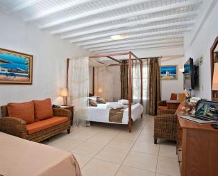 Dionysos Luxury Hotel Mykonos