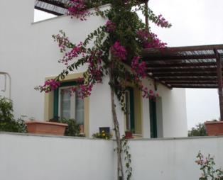 Farma Studios