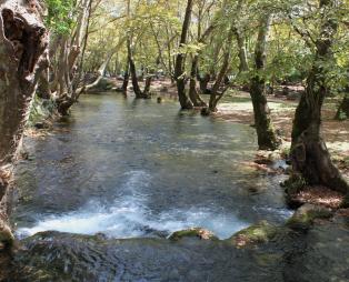 Νάουσα: Μεθυστική απόδραση στη σκιά του Βερμίου