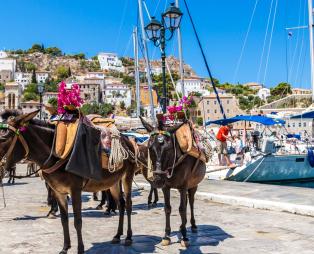 Η διαχρονική γοητεία της Ύδρας