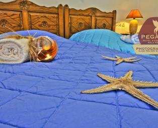 Ηotel Pegasus