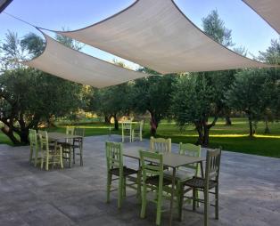 Anastasios Olive Garden Apartments