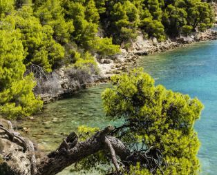 Αλόννησος: Ένα θαυμάσιο νησί για ήρεμες διακοπές