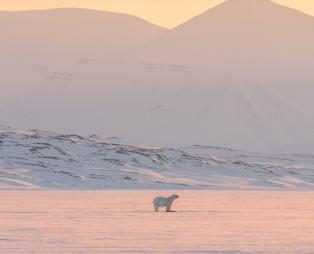 North Pole Igloos: To βορειότερο ξενοδοχείο του κόσμου! (pics)