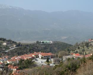Zoinos Winery: Εκλεκτά οινικά προϊόντα από τη Ζίτσα Ιωαννίνων