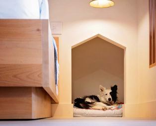 Αυτό είναι ίσως το πιο pet friendly ξενοδοχείο του κόσμου