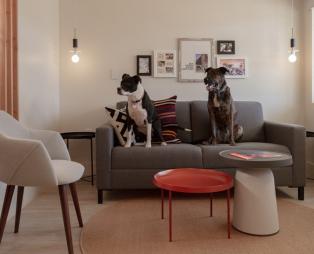Αυτό είναι ίσως το πιο pet friendly ξενοδοχείο του κόσμου