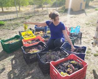 Orias Guesthouse & Farm: Ζήστε αξέχαστες εμπειρίες στην ορεινή Αχαΐα