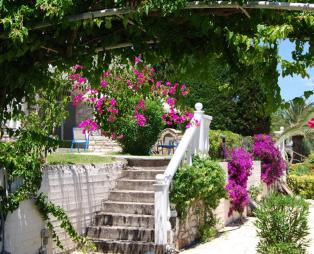 Ilaria Apartments