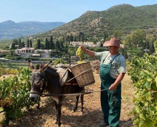 Kinsterna Hotel: Ένα ξενοδοχείο-προορισμός στη Μονεμβασιά