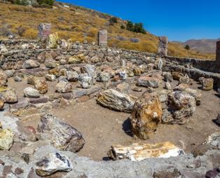 Το Απολιθωμένο Δάσος της Λέσβου (Πηγή: Shutterstock)