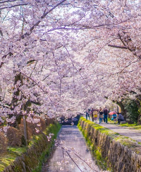 Μια ανοιξιάτικη βόλτα σε 8 εντυπωσιακούς δρόμους του πλανήτη