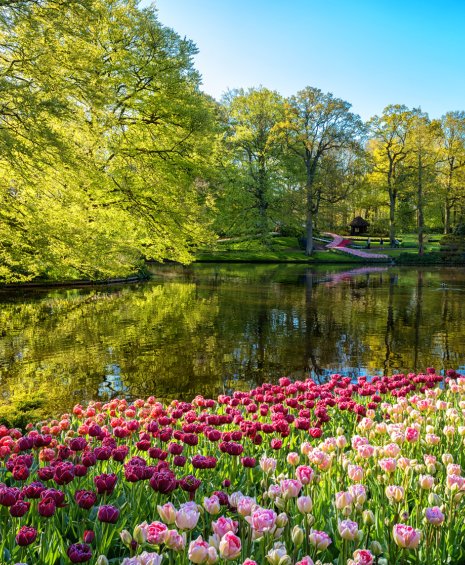 Όταν η φύση ζωγραφίζει: Τα top 10 μέρη στον κόσμο για να δείτε ανθισμένα λουλούδια