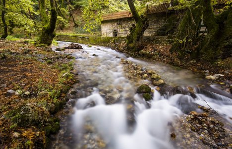 Σαββατοκύριακο στο πιο μαγευτικό πλατανόδασος της Πελοποννήσου