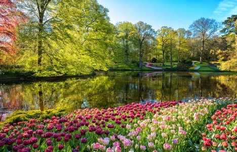 Όταν η φύση ζωγραφίζει: Τα top 10 μέρη στον κόσμο για να δείτε ανθισμένα λουλούδια