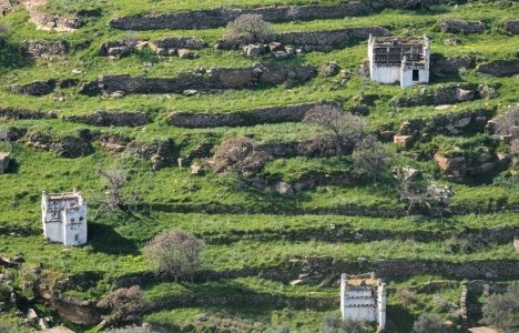 ΚΟΙΝΩΝΩ Festival: 5 ημέρες σύγχρονης δημιουργίας, συναντήσεων και δράσεων στην Τήνο