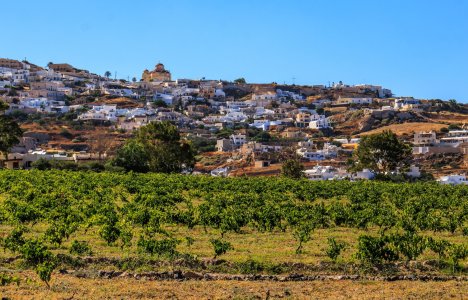 South Aegean Open Farm Days: Γνωρίζουμε τους παραγωγούς των Κυκλάδων