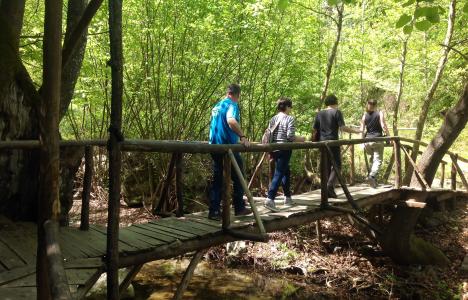 Μαγικές διαδρομές στον Αριστοτελικό Περίπατο στη Χαλκιδική