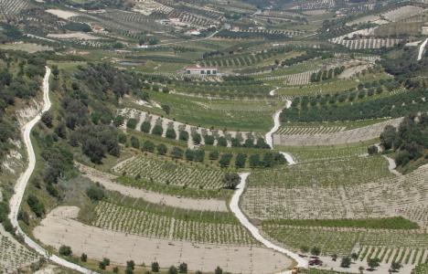 Οινοποιείο Δουλουφάκη, κρασί βγαλμένο από την καρδιά της Κρήτης