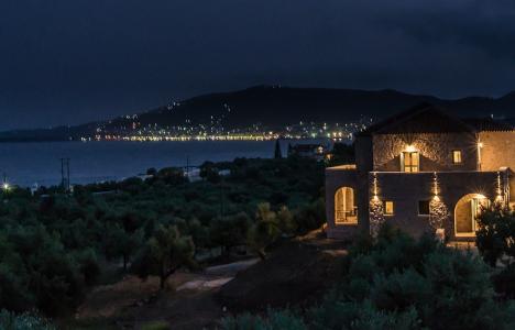 The Olive Yard