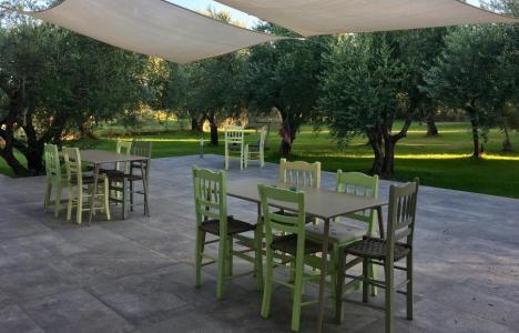 Anastasios Olive Garden Apartments