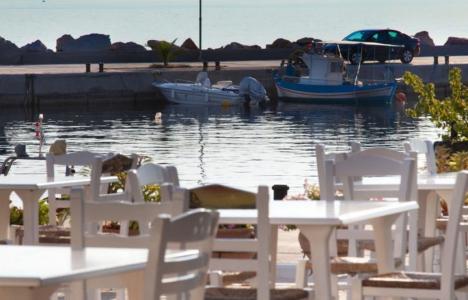 Ακρογιάλι: Μια γευστική έκπληξη στον Άγιο Ανδρέα Μεσσηνίας