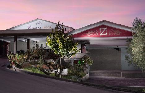 Zoinos Winery: Εκλεκτά οινικά προϊόντα από τη Ζίτσα Ιωαννίνων