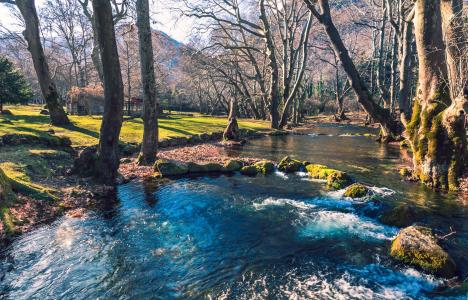 Νάουσα: Ένα μεθυστικό Σαββατοκύριακο στην πόλη του κρασιού