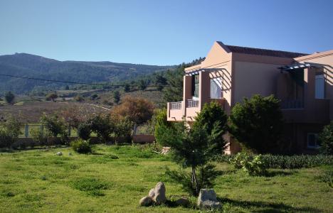 Casa Verde Houses