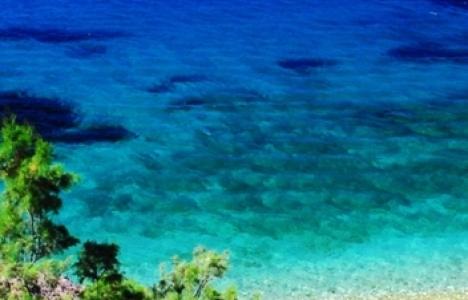 Οι 5+1 ψαγμένες παραλίες της Αττικής