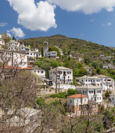 Πορταριά - Μακρινίτσα: Οι καλύτερες επιλογές για φαγητό