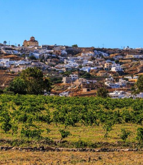 South Aegean Open Farm Days: Γνωρίζουμε τους παραγωγούς των Κυκλάδων