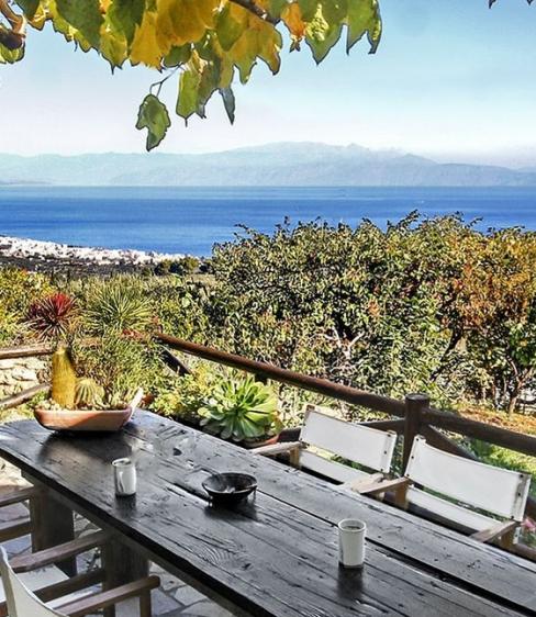 Ampelos Estate