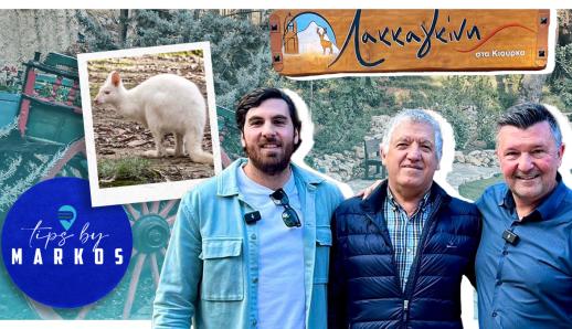 Tips by Markos: Φοβερό φαγητό στη φάρμα «Λακκαγκίνη» με το σπάνιο λευκό καγκουρό!