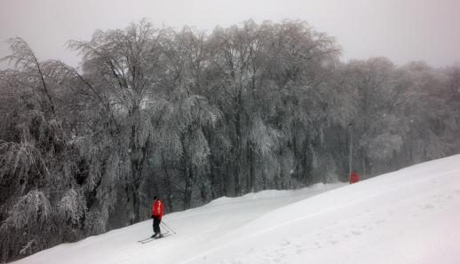 Πήλιο: Για σκι με θέα το Αιγαίο