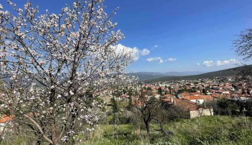 Αμφίκλεια: Ένας προορισμός για όλες τις εποχές