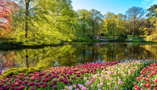 Τα 10 πιο πολύχρωμα μέρη στον κόσμο που πρέπει να επισκεφτεί κάθε λάτρης των λουλουδιών
